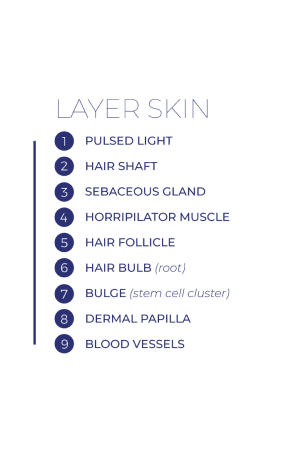 action of intense pulsed light on the hair