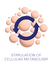 Estheled by Corpoderm stimulates the cellular metabolism
